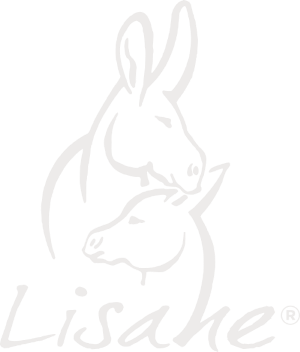 logo Lisane clair